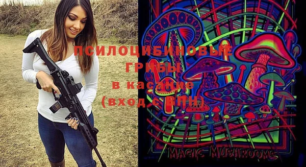 стаф Беломорск